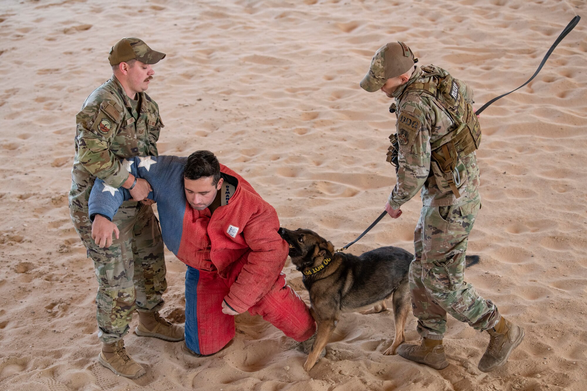 U.S. Air Force Tech. Sgt. Brendan Turner, 386th Expeditionary Security Forces Squadron kennel master, left, helps Cpl. Isaiah Coles, a Canadian Armed Forces member, center, to his feet, while U.S. Air Force Staff Sgt. Jibran Martin, a 386th ESFS Military Working Dog handler, right, gets MWD Mark to release his bite during a MWD bite demonstration at Ali Al Salem Air Base, Kuwait, Feb. 16, 2023.