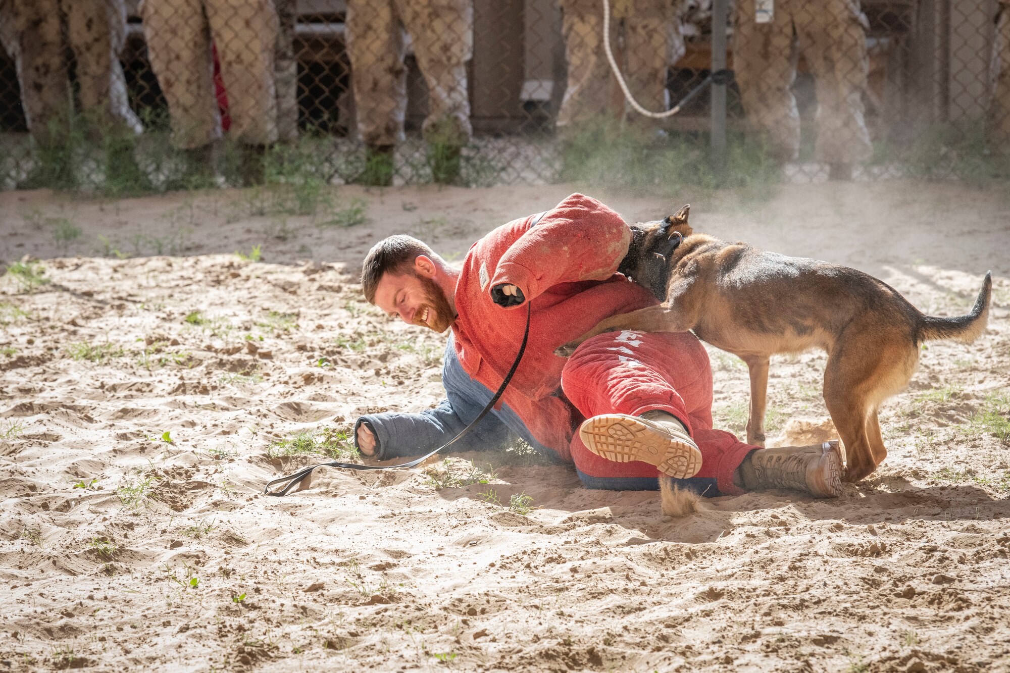 MCpl. Tylar Parsons, a Canadian Armed Forces member, is taken down by Military Working Dog Azir, assigned to the 386th Expeditionary Security Forces Squadron, during a MWD bite demonstration at Ali Al Salem Air Base, Kuwait, Feb. 16, 2023.