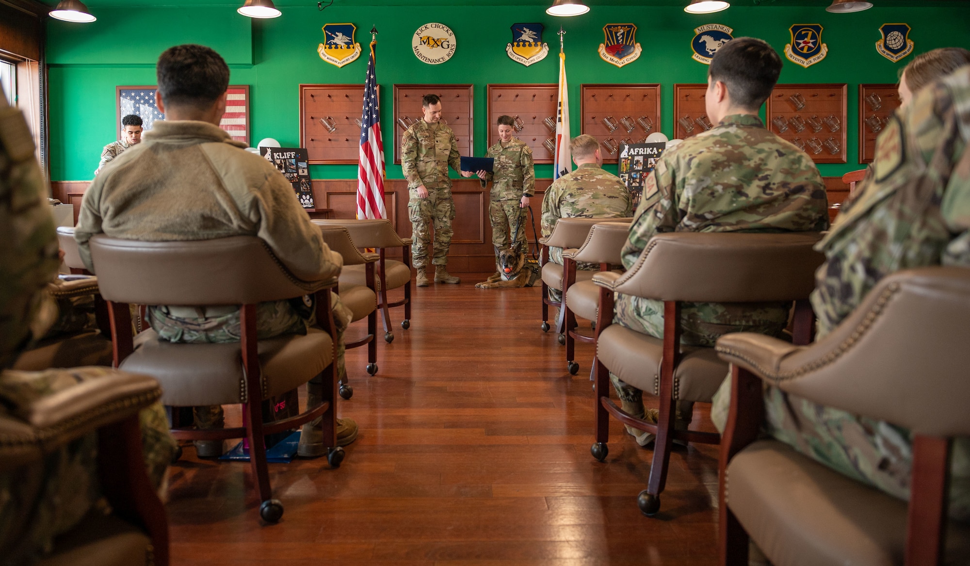 Photos of military working dogs retiring from years of service.