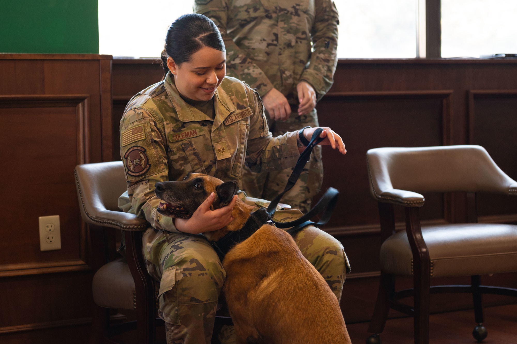 Photos of military working dogs retiring from years of service.