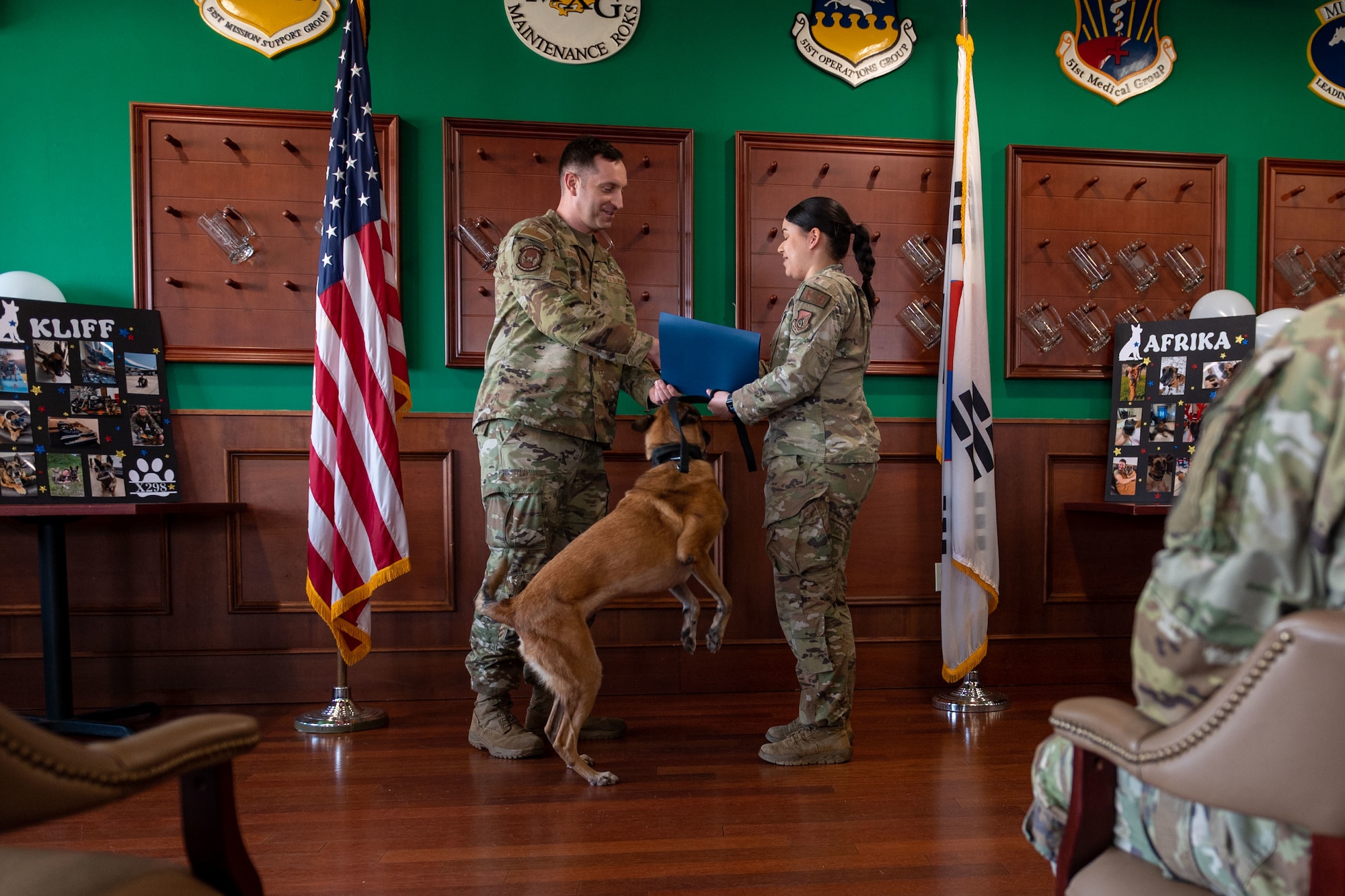 Photos of military working dogs retiring from years of service.