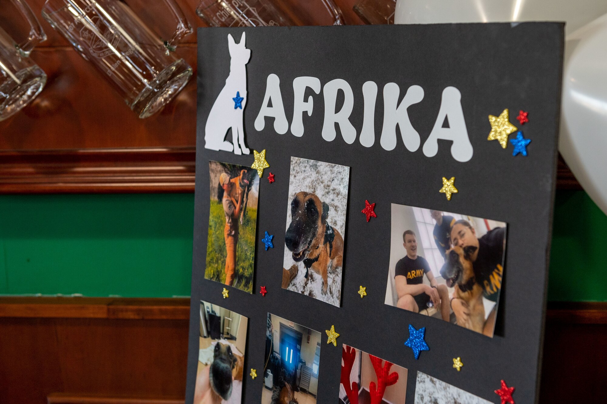 Photos of military working dogs retiring from years of service.