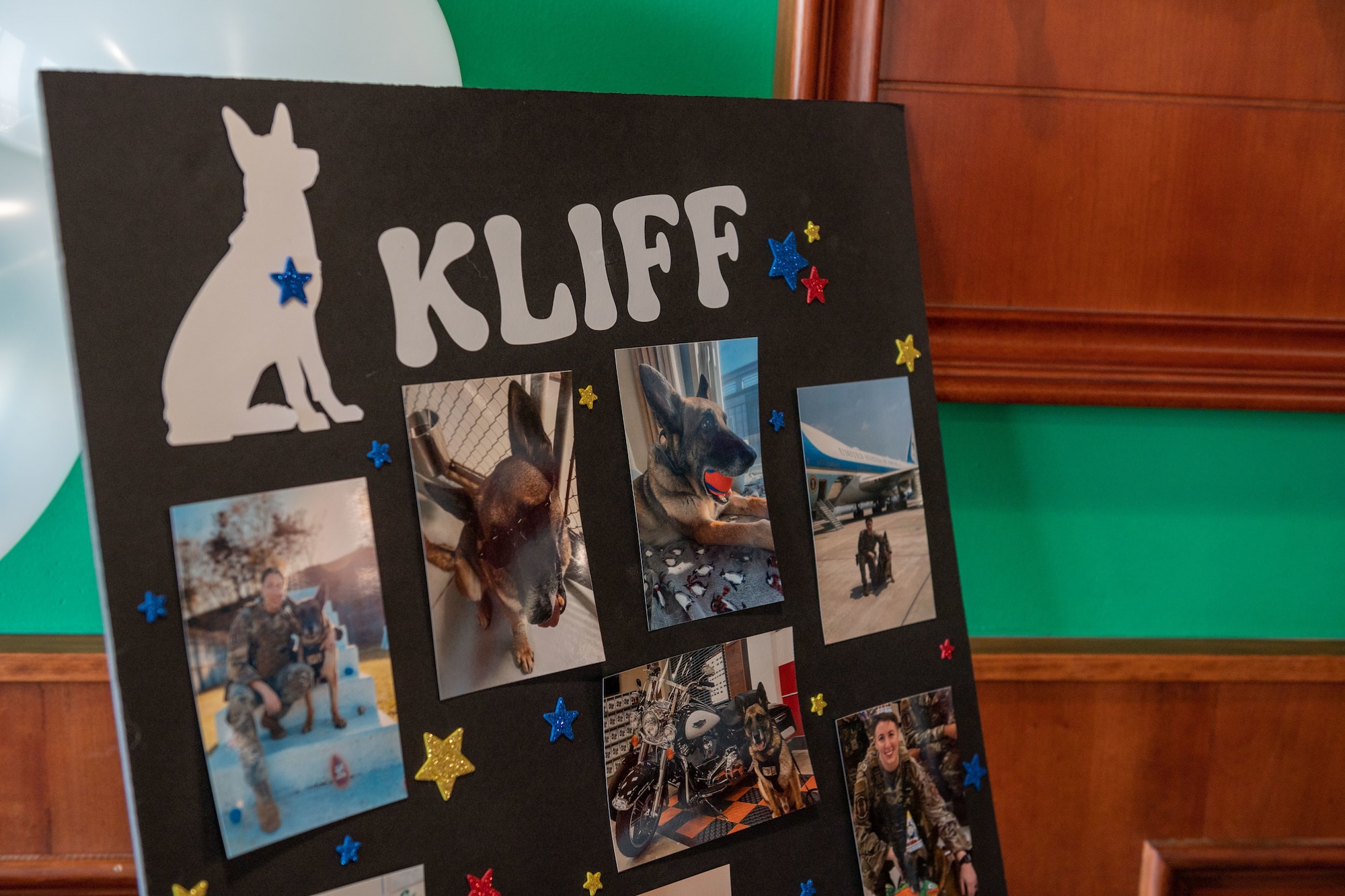 Photos of military working dogs retiring from years of service.