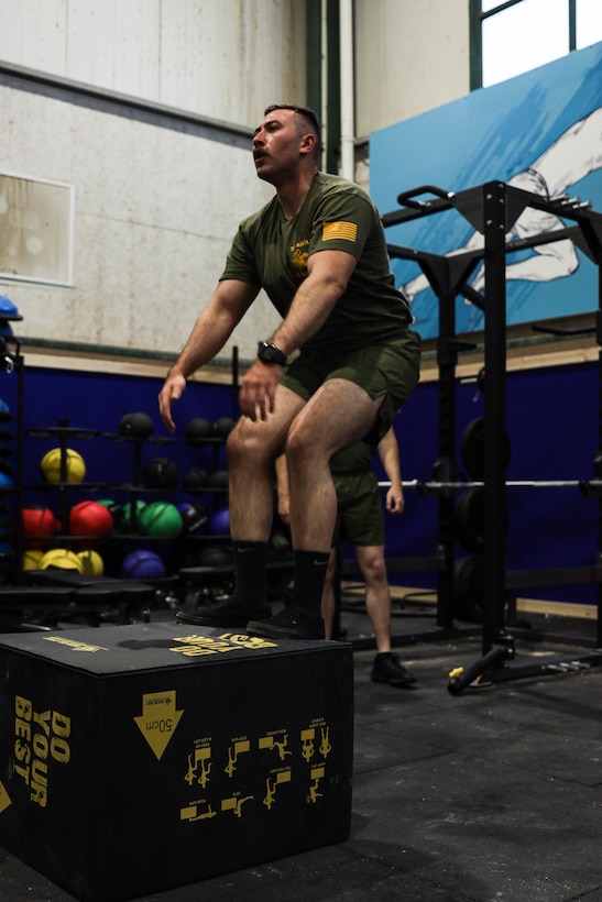 3rd ANGLCO Marines conduct PT with IDF during Intrepid Maven 23.2