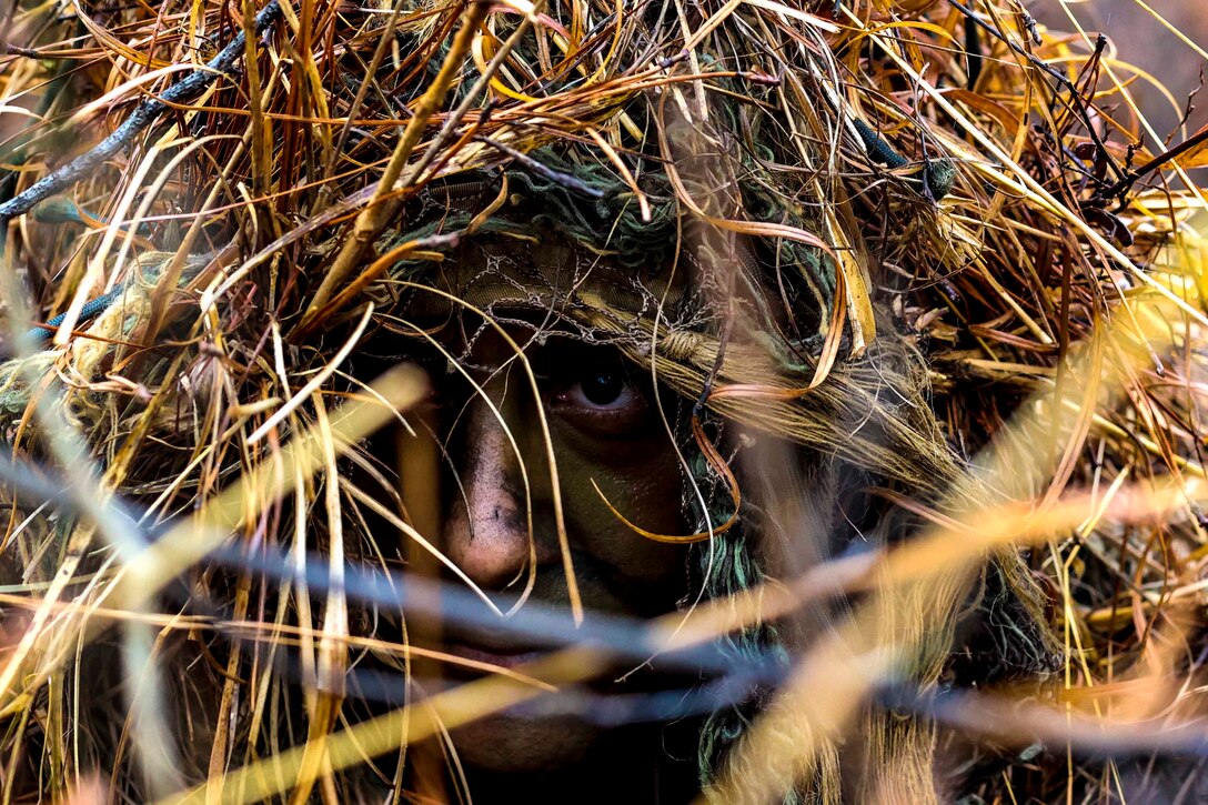 A soldier covered by straw and hay.