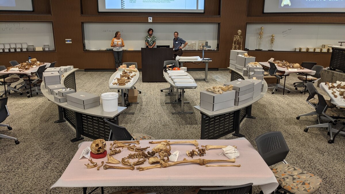 Four members of Air Force Mortuary Affairs Operations attended the comparative osteology course at the University of Tennessee Knoxville Forensic Anthropology Center.