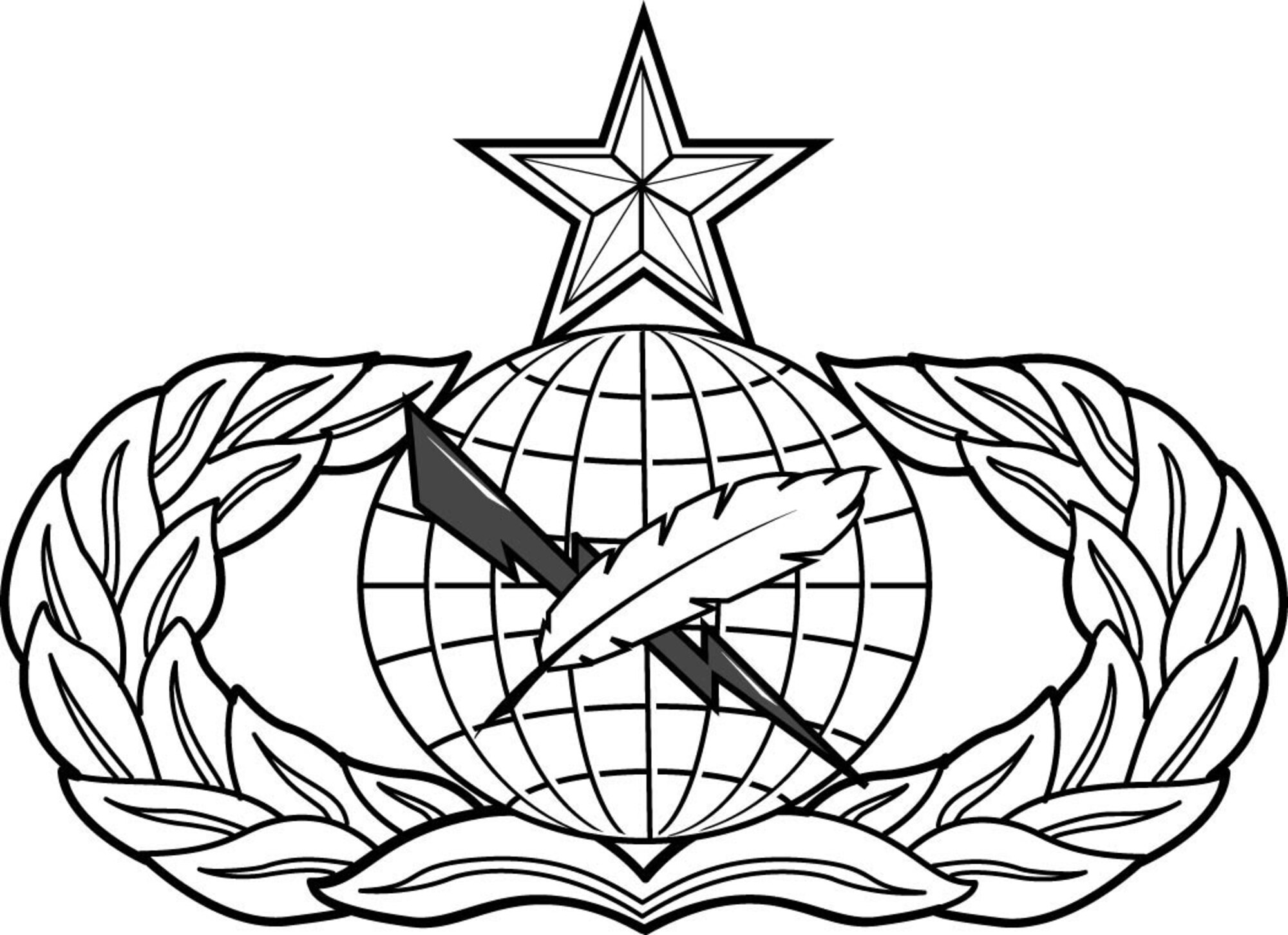 Public Affairs badge - Senior Level