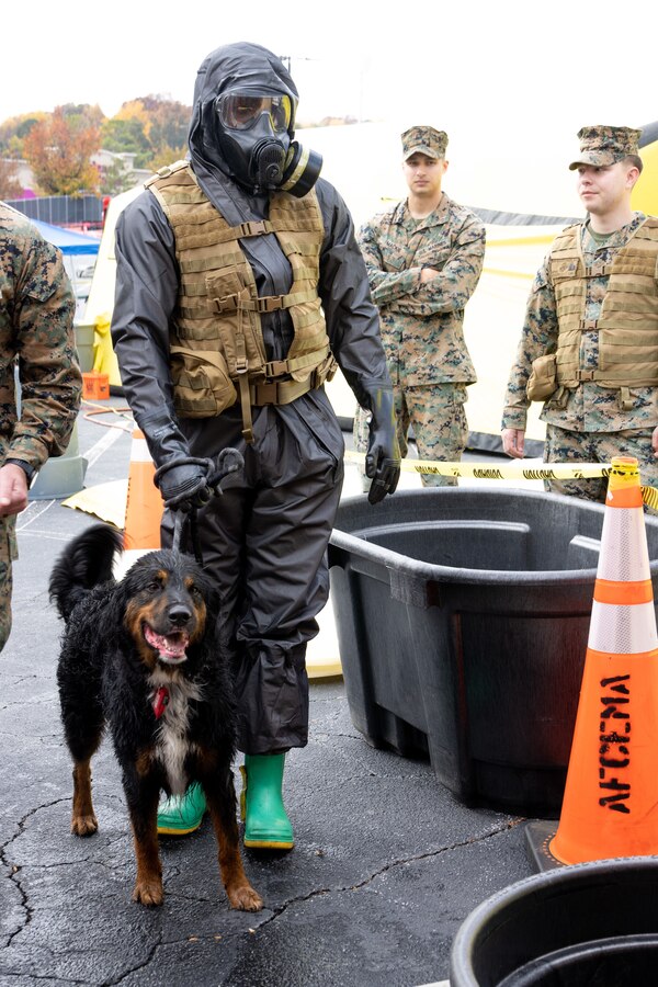 A U.S. Marine with Chemical Biological Incident Response Force walks a simulated animal casualty to a medical tent during exercise Vista Forge in Atlanta, Georgia, Nov. 2, 2022. Exercise Vista Forge was a joint annual exercise in which Army forces directed a series of exercises that brought together local, State, and Department of Defense, capabilities across the Chemical Biological Radiological Nuclear response enterprise across the U.S. (U.S. Marine Corps Photo by SSgt. Jacqueline Clifford)