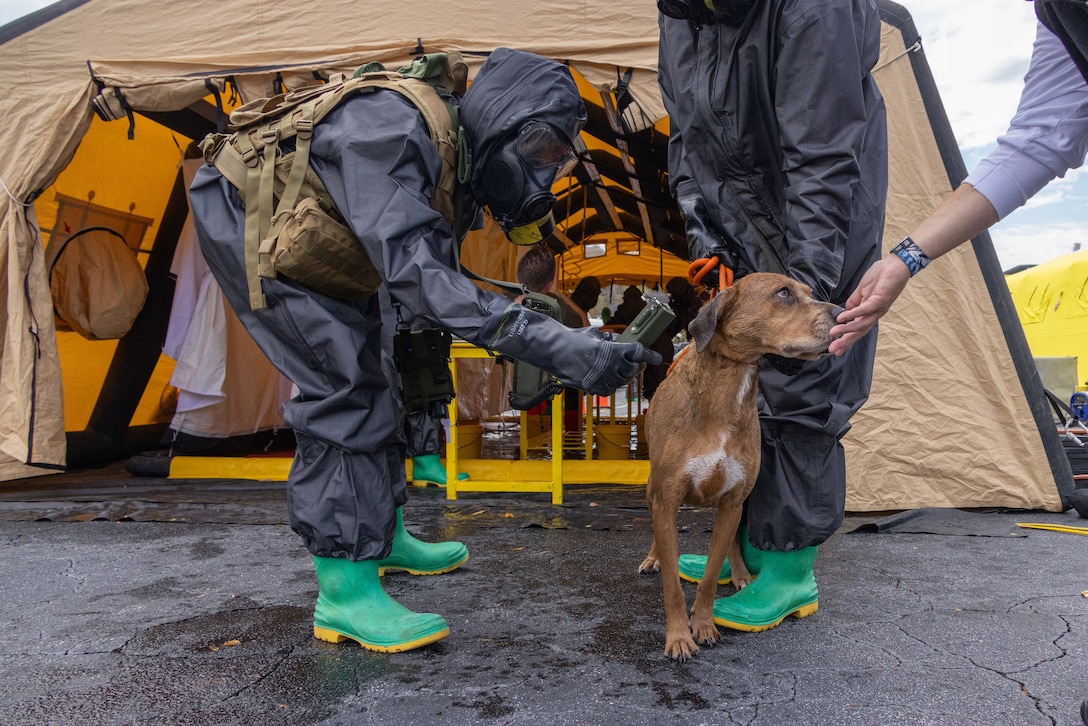U.S. Marines with Chemical Biological Incident Response Force use a radiac AN/PDR device to scan for nuclear contamination on a simulated animal casualty during exercise Vista Forge in Atlanta, Georgia, Nov. 2, 2022. Exercise Vista Forge was a joint annual exercise in which Army forces directed a series of exercises that brought together local, State, and Department of Defense, capabilities across the Chemical Biological Radiological Nuclear response enterprise across the U.S. (U.S. Marine Corps Photo by SSgt. Jacqueline Clifford)