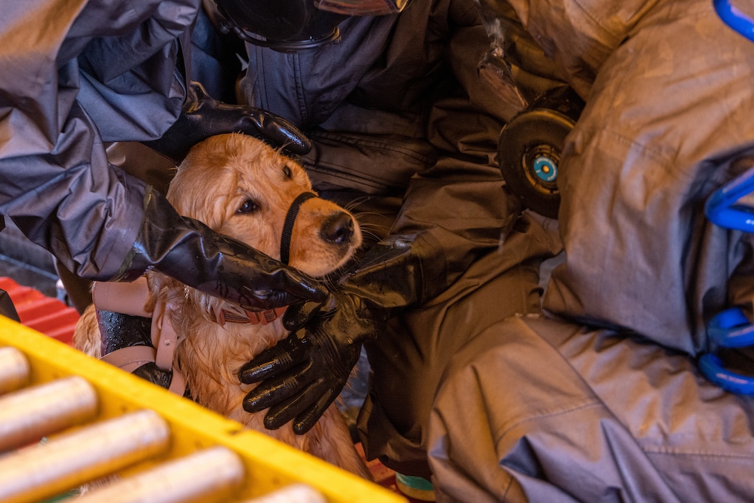 U.S. Marines with Chemical Biological Incident Response Force wash chemicals and particulates off a simulated animal casualty in the decontamination line during exercise Vista Forge in Atlanta, Georgia, Nov. 3, 2022. Exercise Vista Forge was a joint annual exercise in which Army forces directed a series of exercises that brought together local, State, and Department of Defense, capabilities across the Chemical Biological Radiological Nuclear  response enterprise across the U.S. (U.S. Marine Corps Photo by SSgt. Jacqueline Clifford)