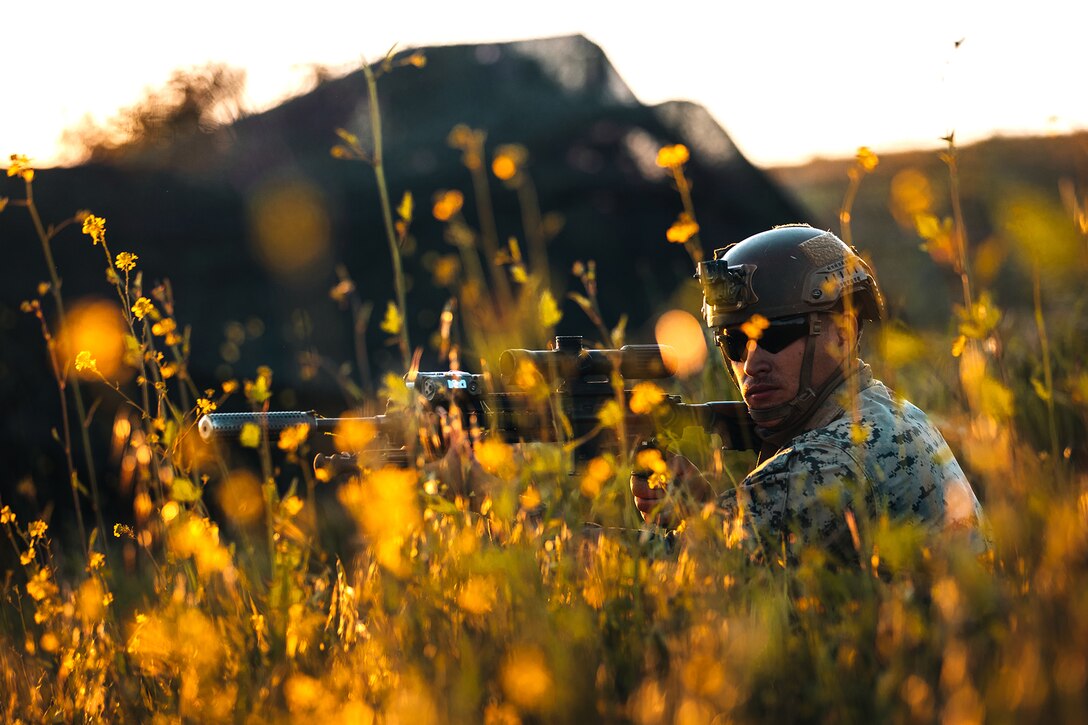 A service member holding a weapon crouches down in a field.