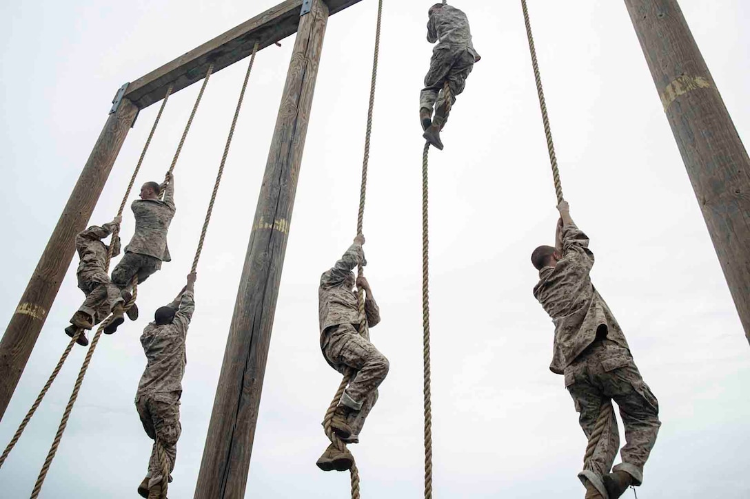 Marine Corps recruits climb up ropes.