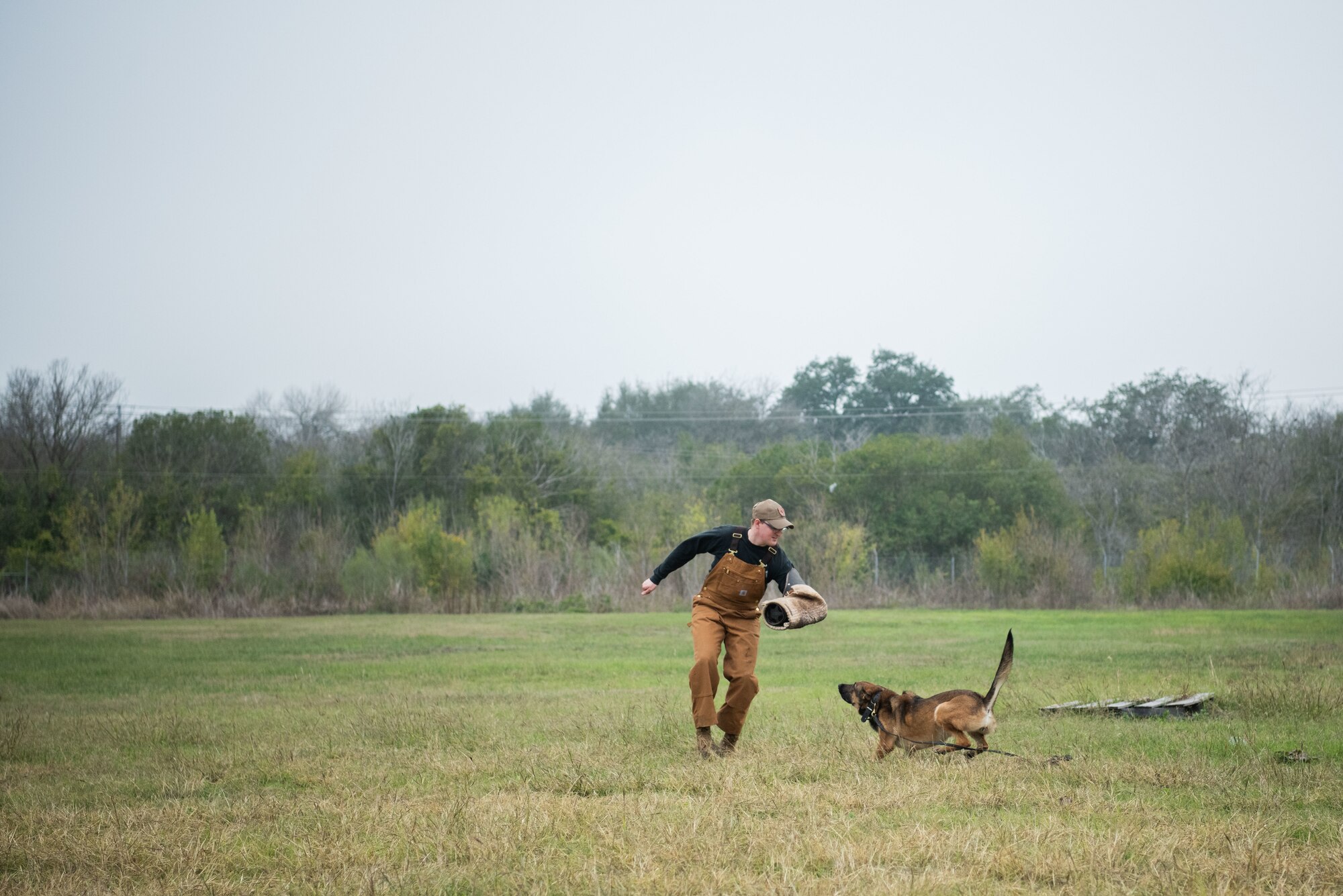 A person and a dog running in a field