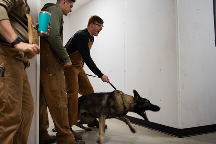 A group of men and a dog