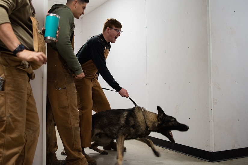 A young man holds a dog’s leash as the dog lunges forward.