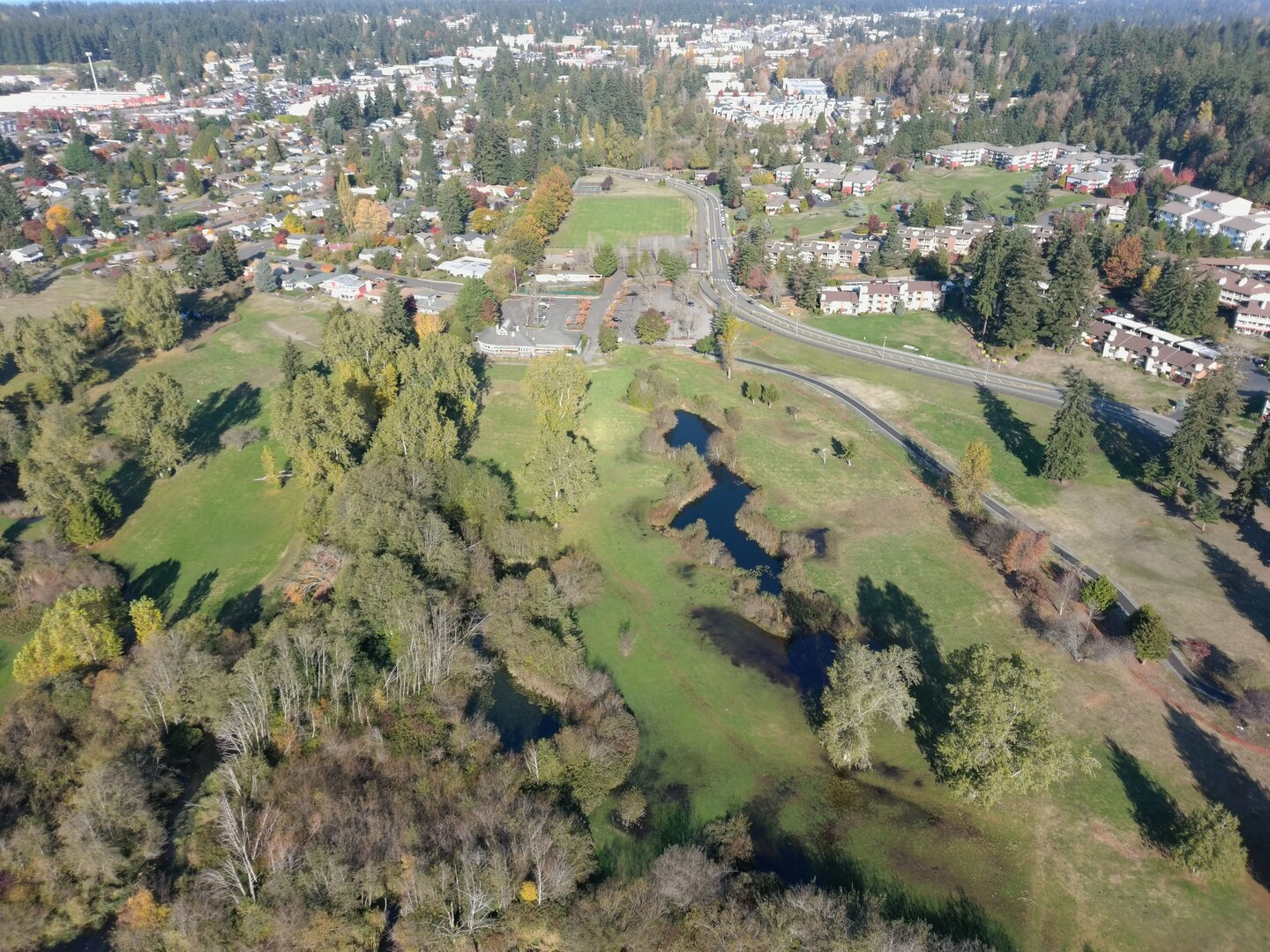 Drone photo of Ballinger Park looking north.