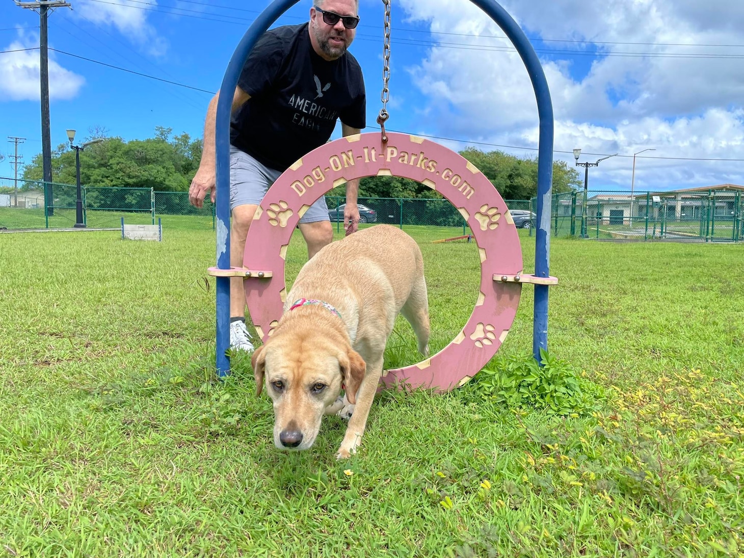 NBG Dog Park Offers Outdoor Alternative for Canine Companions