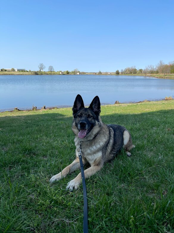 Ajola enjoying time outside. (Courtesy photo)