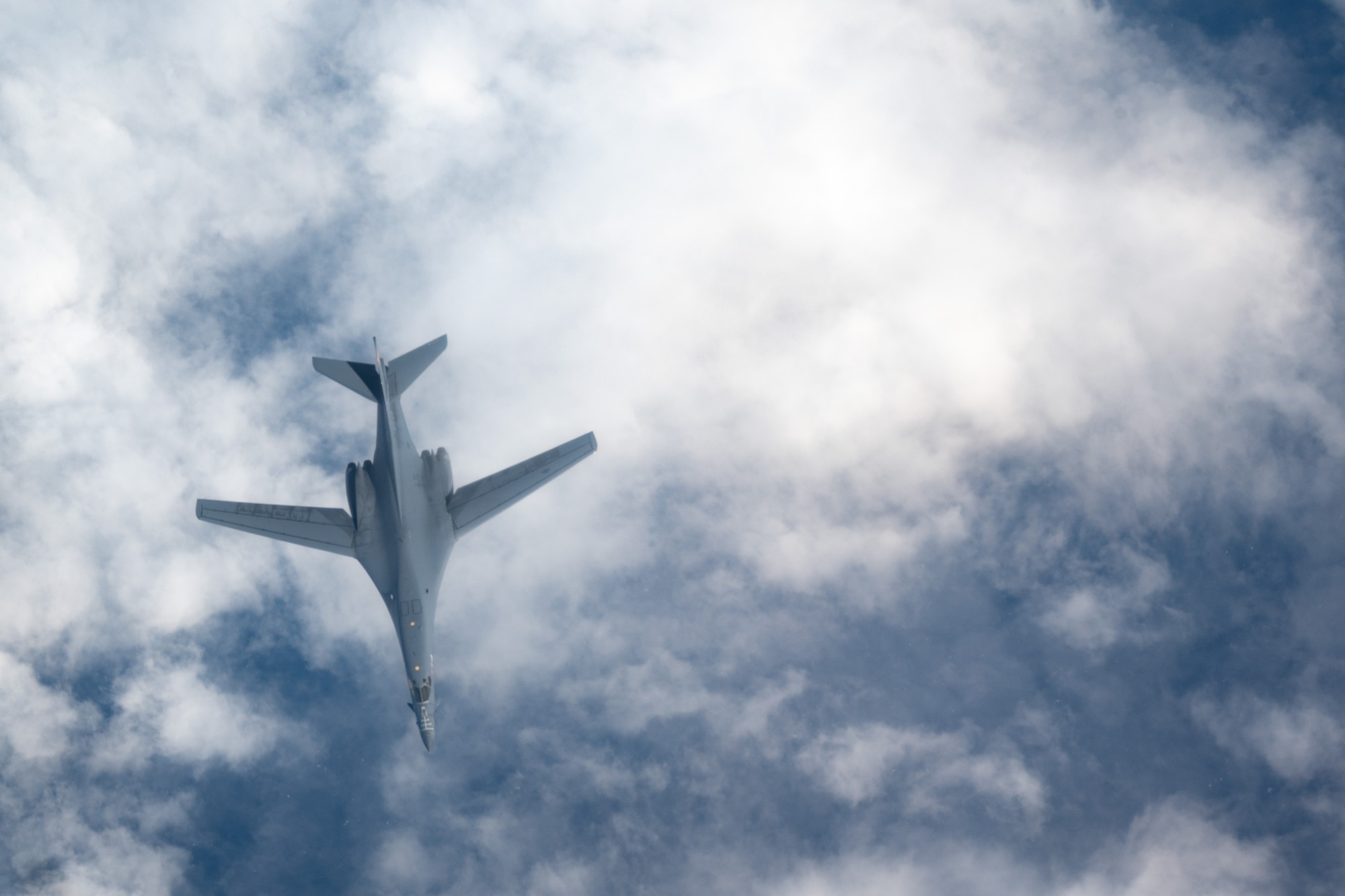 Plane flies in the sky