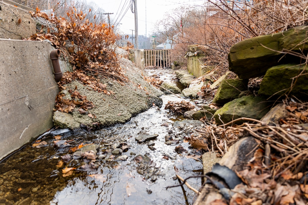Image looking down a darinage culvert with concrete barriers on the left and right that have been overgrown and water flowing along the ground, which is scattered with rocks and leaves.