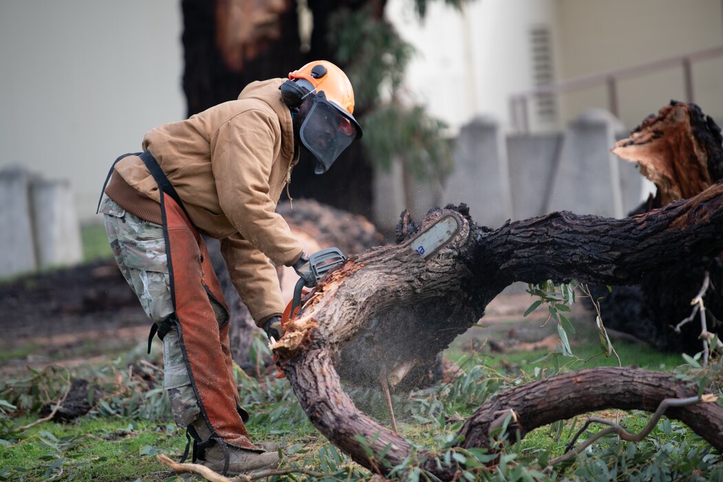 An Airman cuts a tree with a chainsaw.