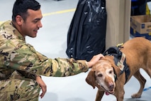 Man in military uniform pets happy dog with tongue hanging out