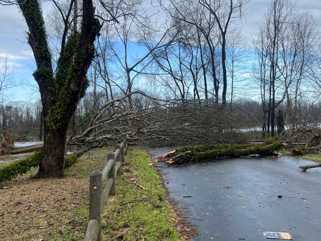 Picture of Tornado Damage