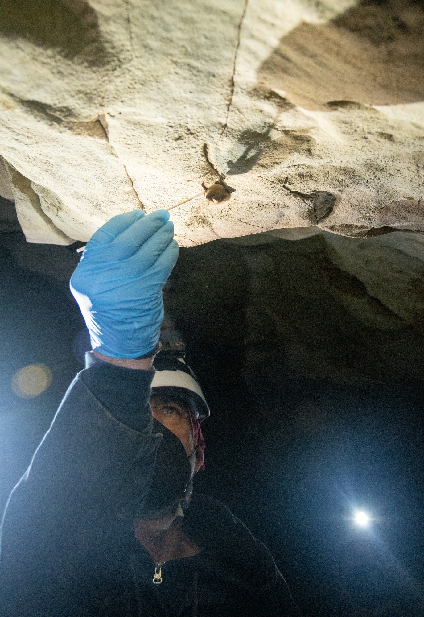 Biologist doing research in a cave