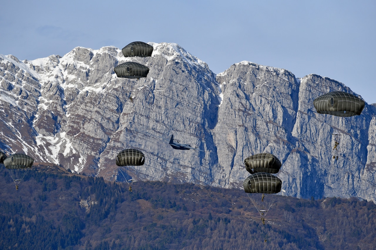 A group of paratroopers parachute to the ground.
