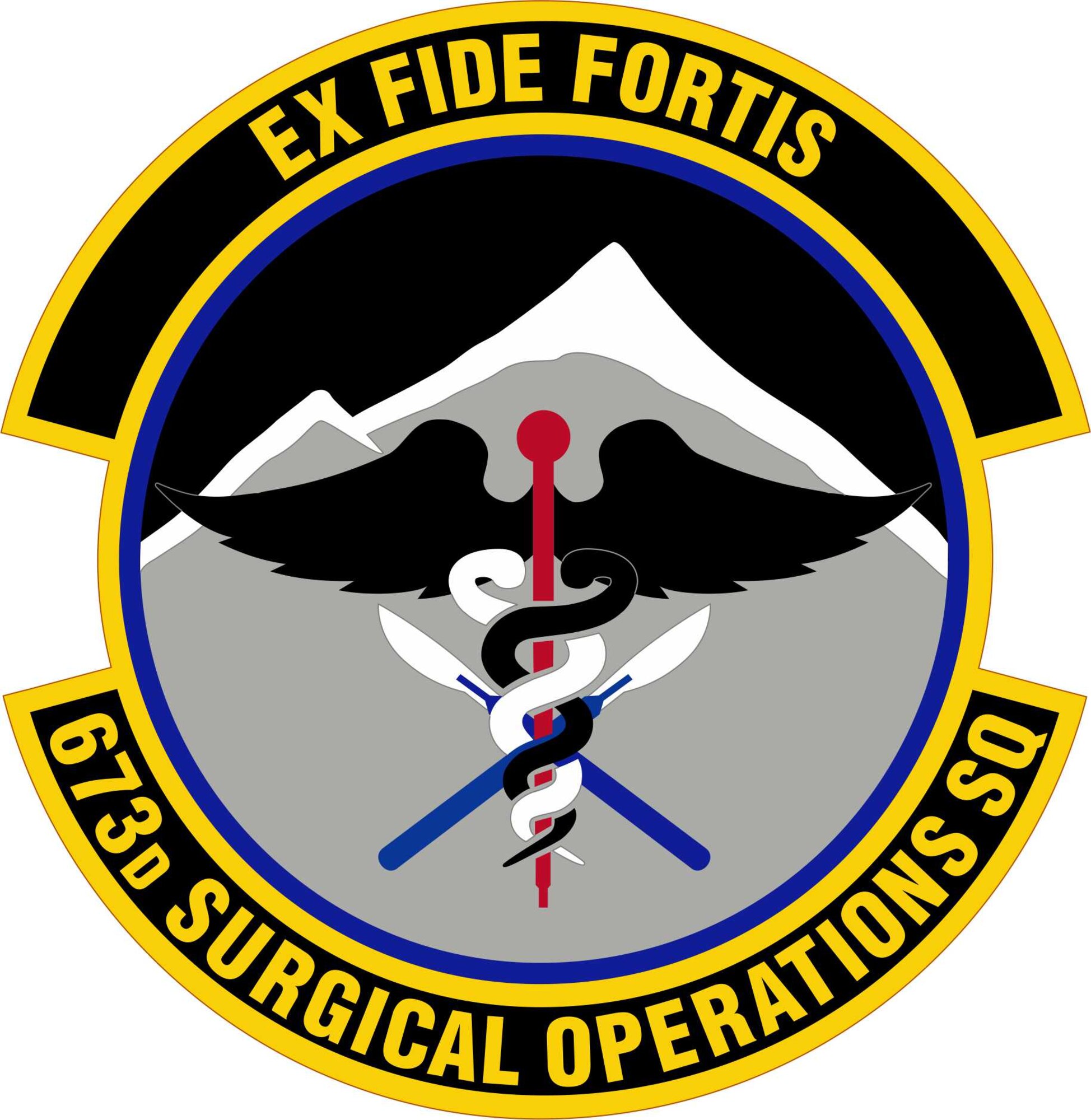 673-surgical-operations-squadron-pacaf-air-force-historical