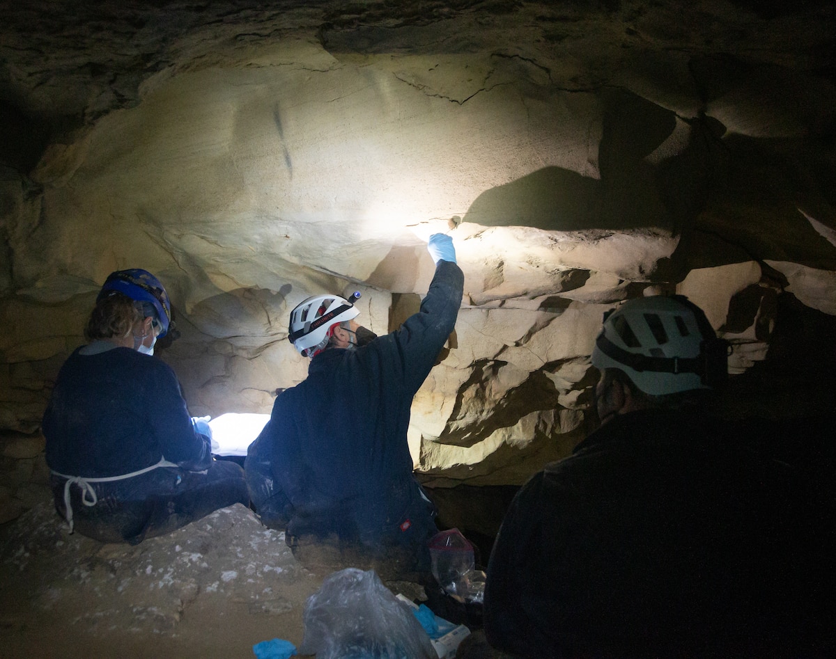 People doing research in a cave