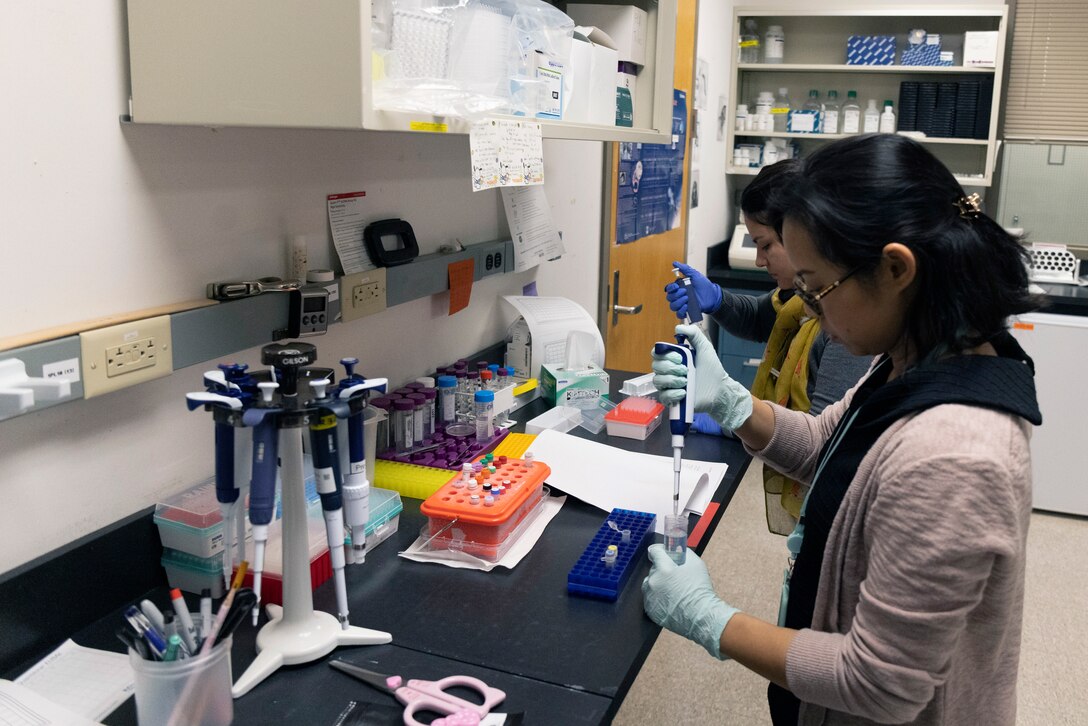 Scientists at the Walter Reed Biosystematics Unit prepare samples to be tested.