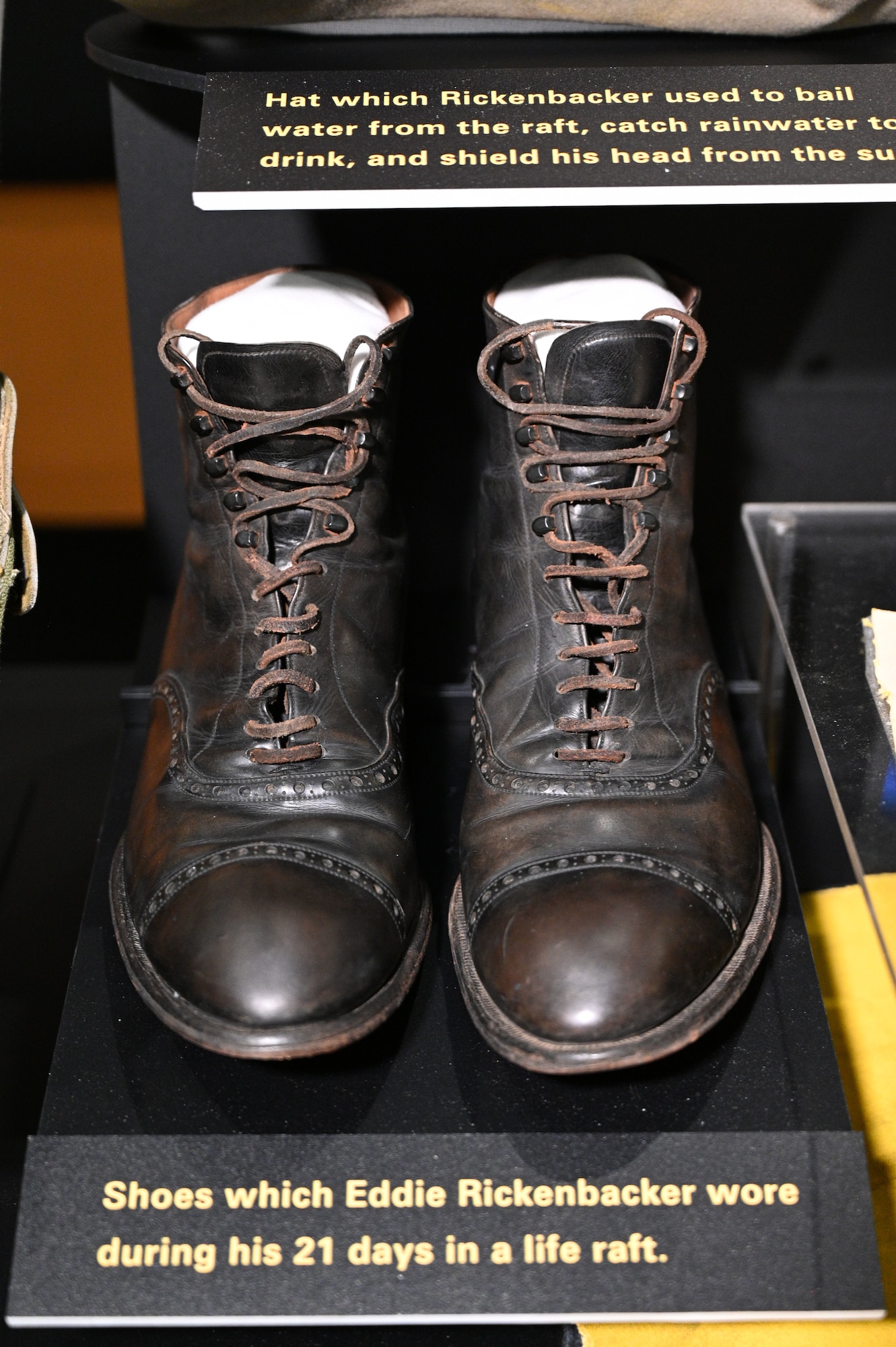 Eddie Rickenbacker Adrift in the Pacific exhibit case