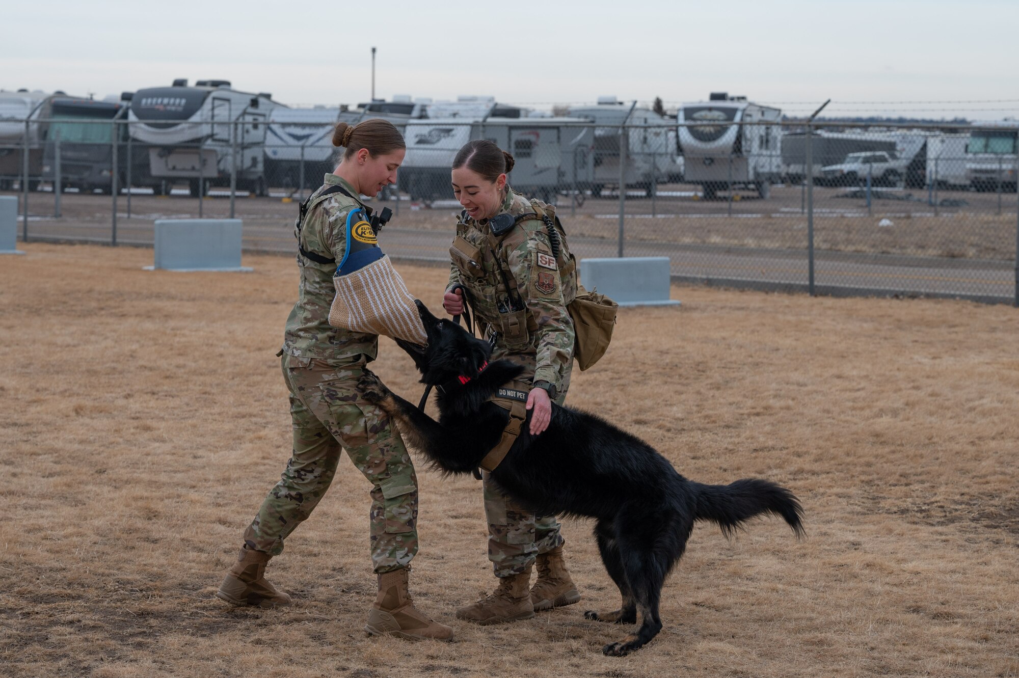 Military Working dog training with 90MW Command Chief.