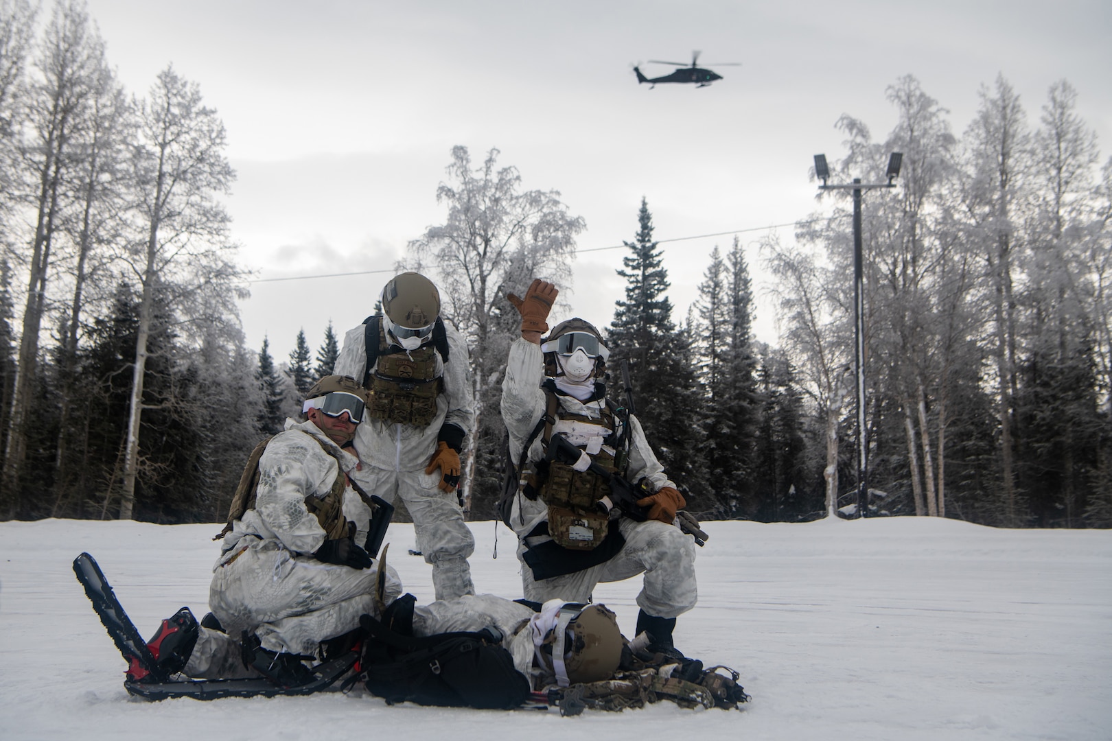 24 SOW D-Cell, pioneers of the ACE concept, hone arctic skills in Alaska