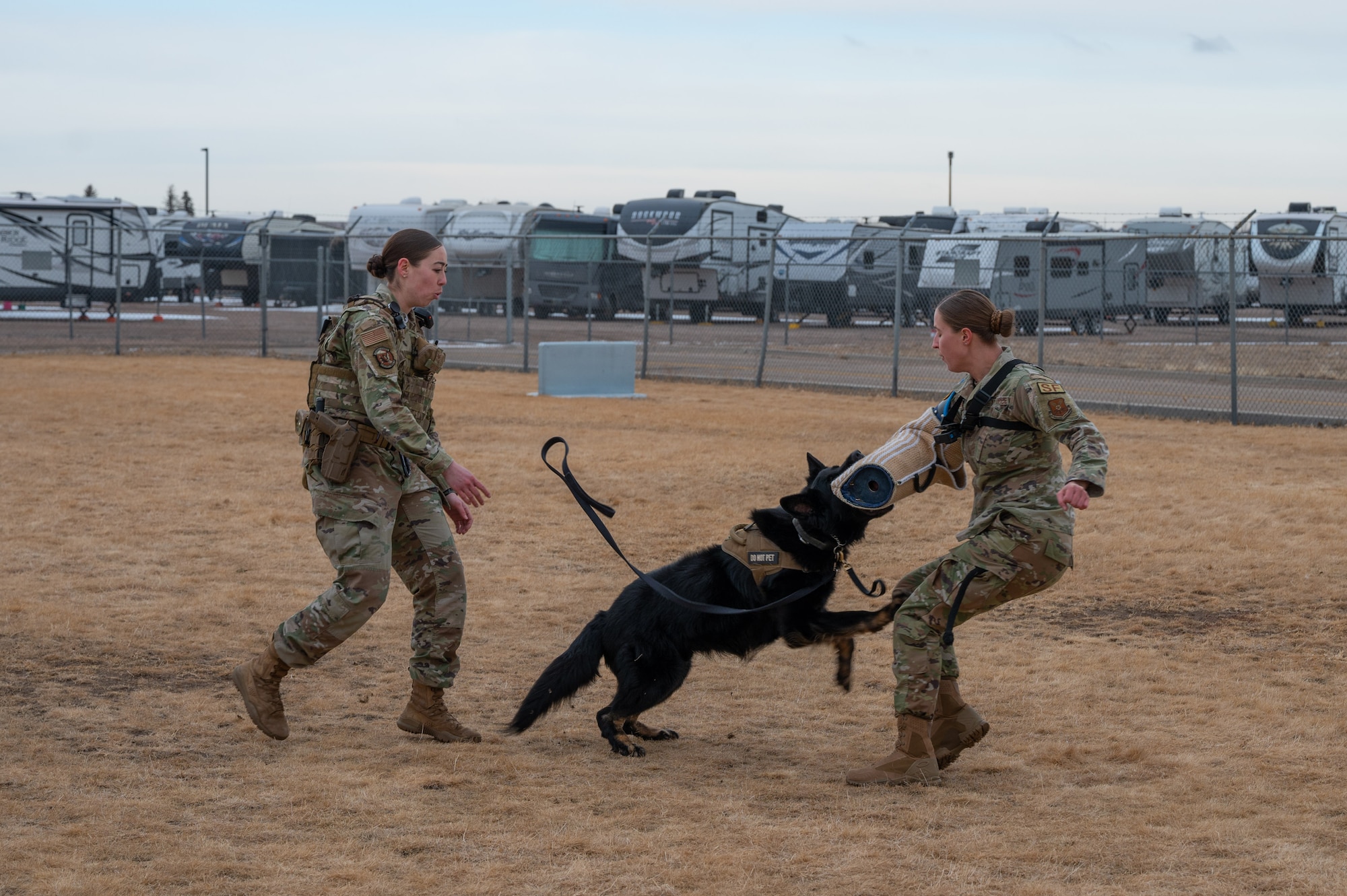 Military Working dog training with 90MW Command Chief.