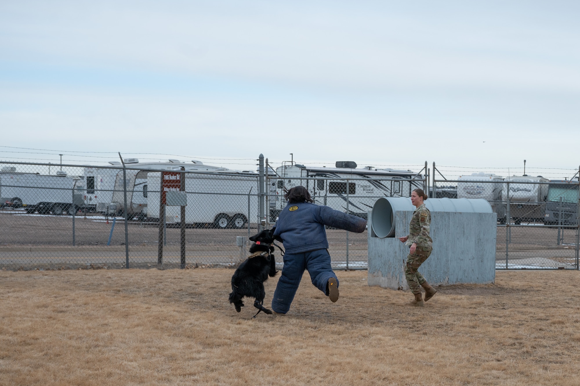 Military Working dog training with 90MW Command Chief.