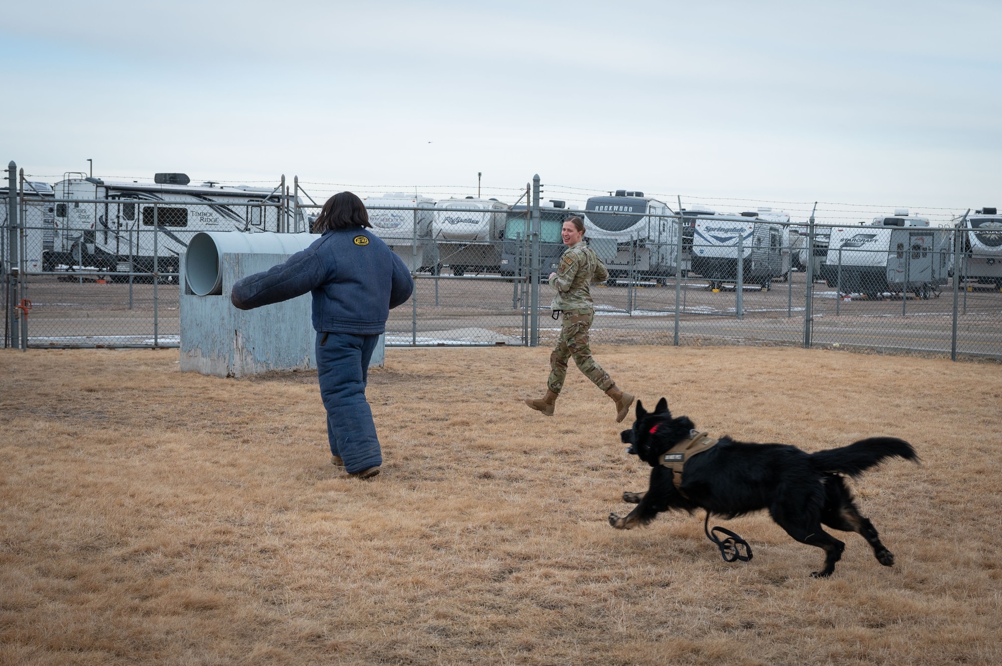 Military Working dog training with 90MW Command Chief.