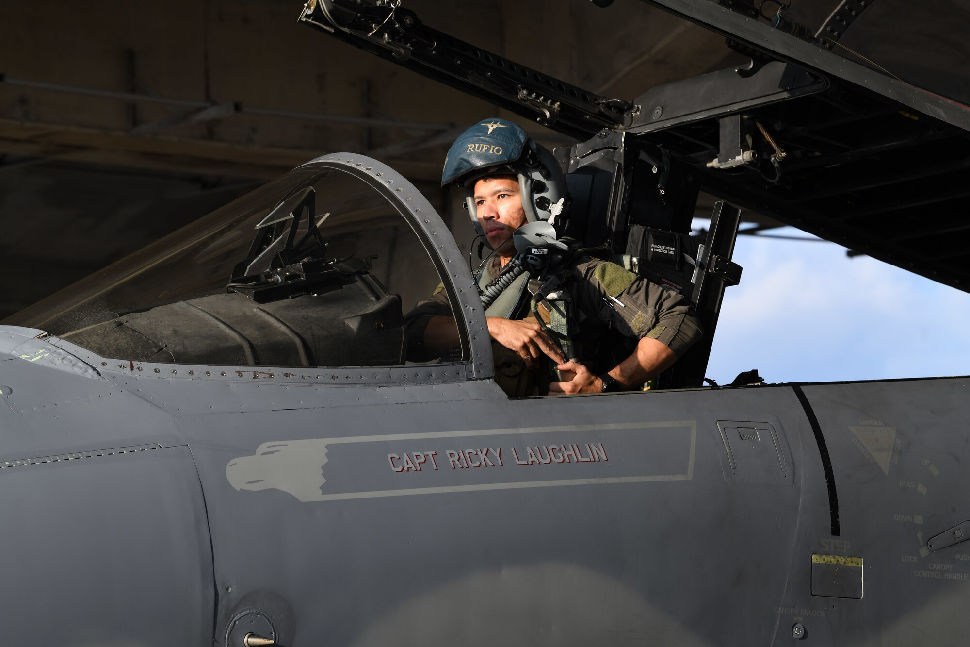 A pilot prepares for flight.