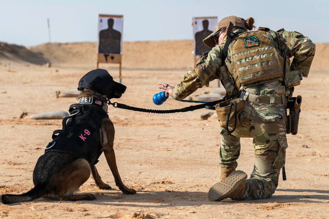 An airman holds a treat in front of a military working dog in a desert training area.