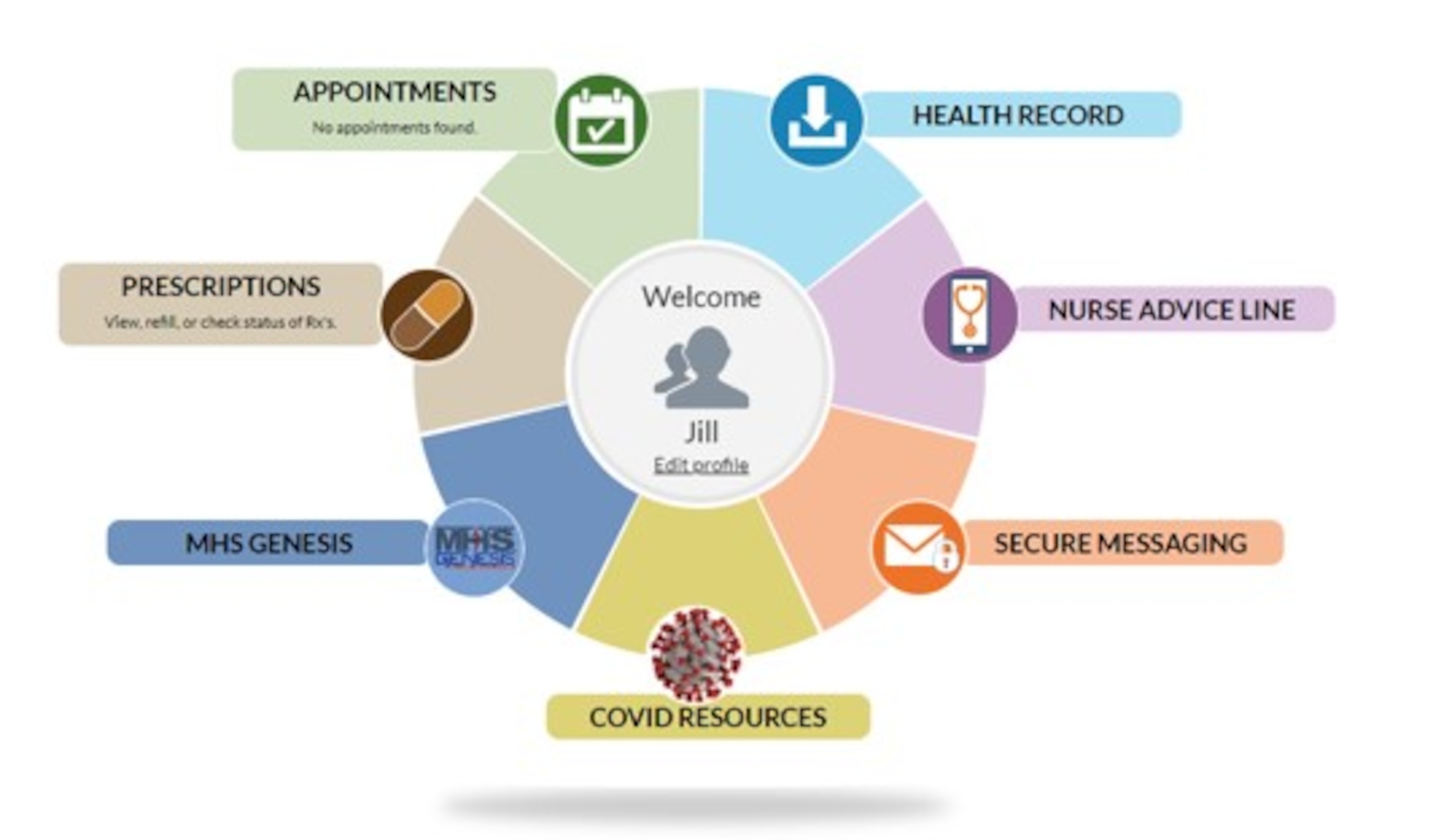 a graphic illustration of the Military Health Records System