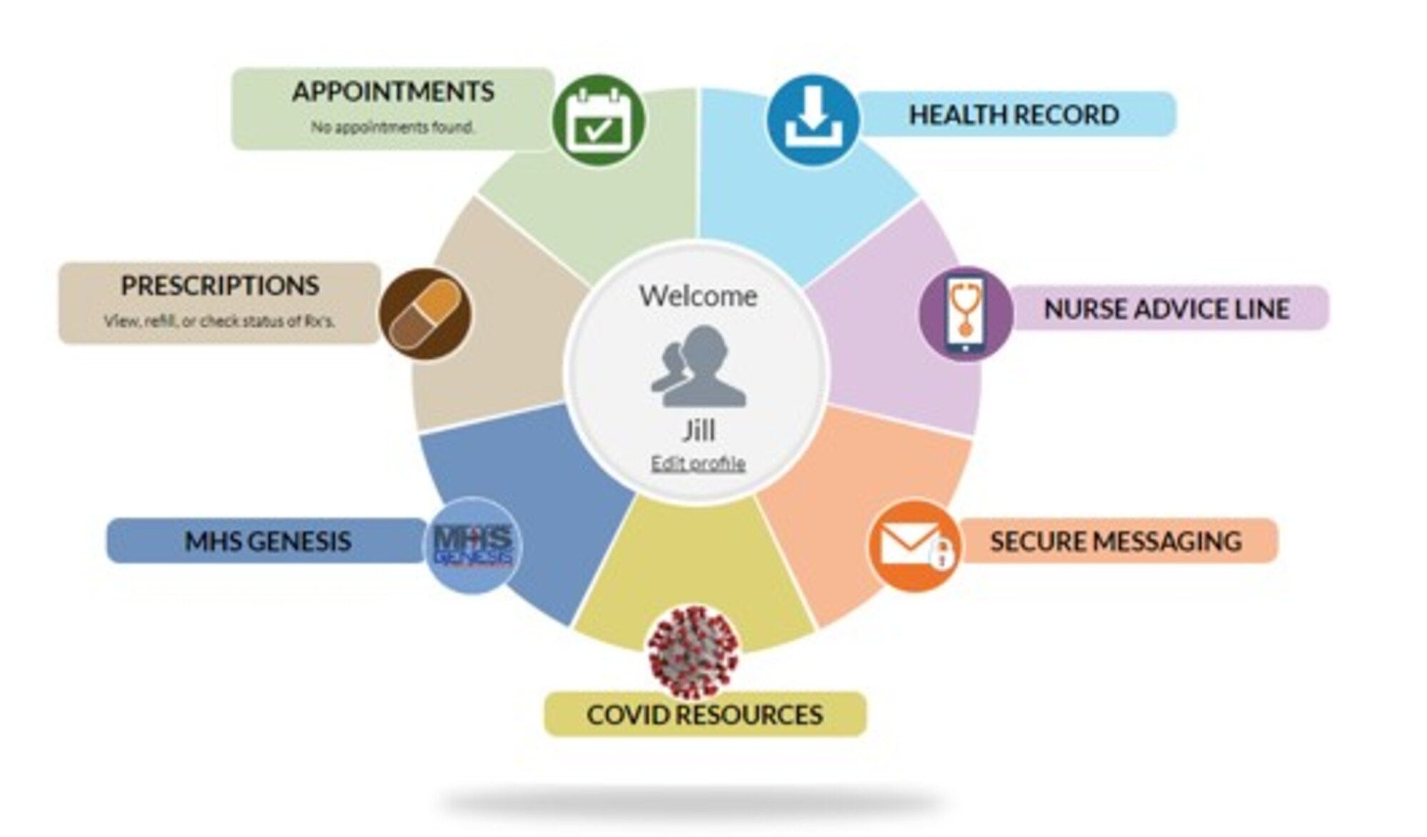 a graphic illustration of the Military Health Records System