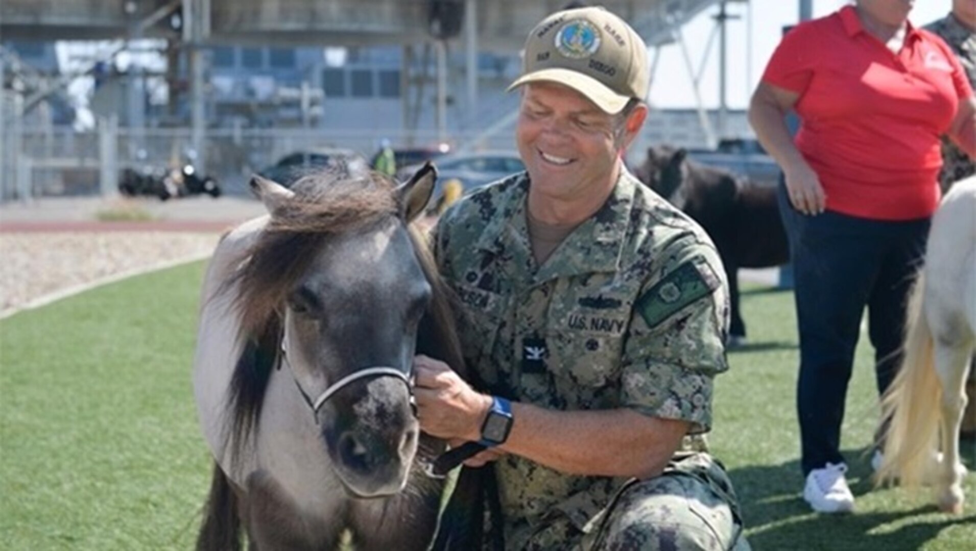 Equine Therapy Reduces Staff Stress and Anxiety at Military Hospital