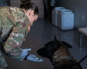 photo by Lance Cpl. Micah Taylor