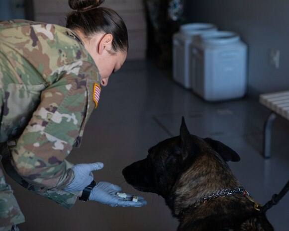 photo by Lance Cpl. Micah Taylor