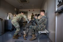 photo by Lance Cpl. Micah Taylor