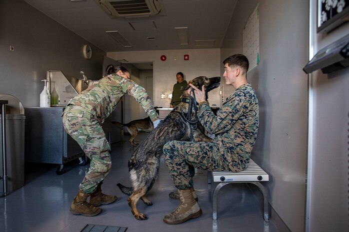 photo by Lance Cpl. Micah Taylor