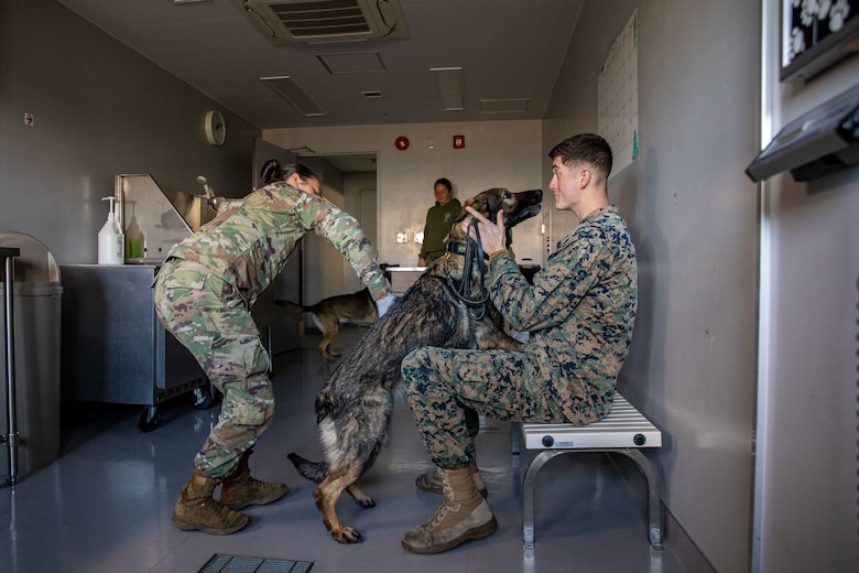 photo by Lance Cpl. Micah Taylor