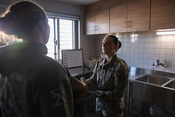 photo by Lance Cpl. Micah Taylor