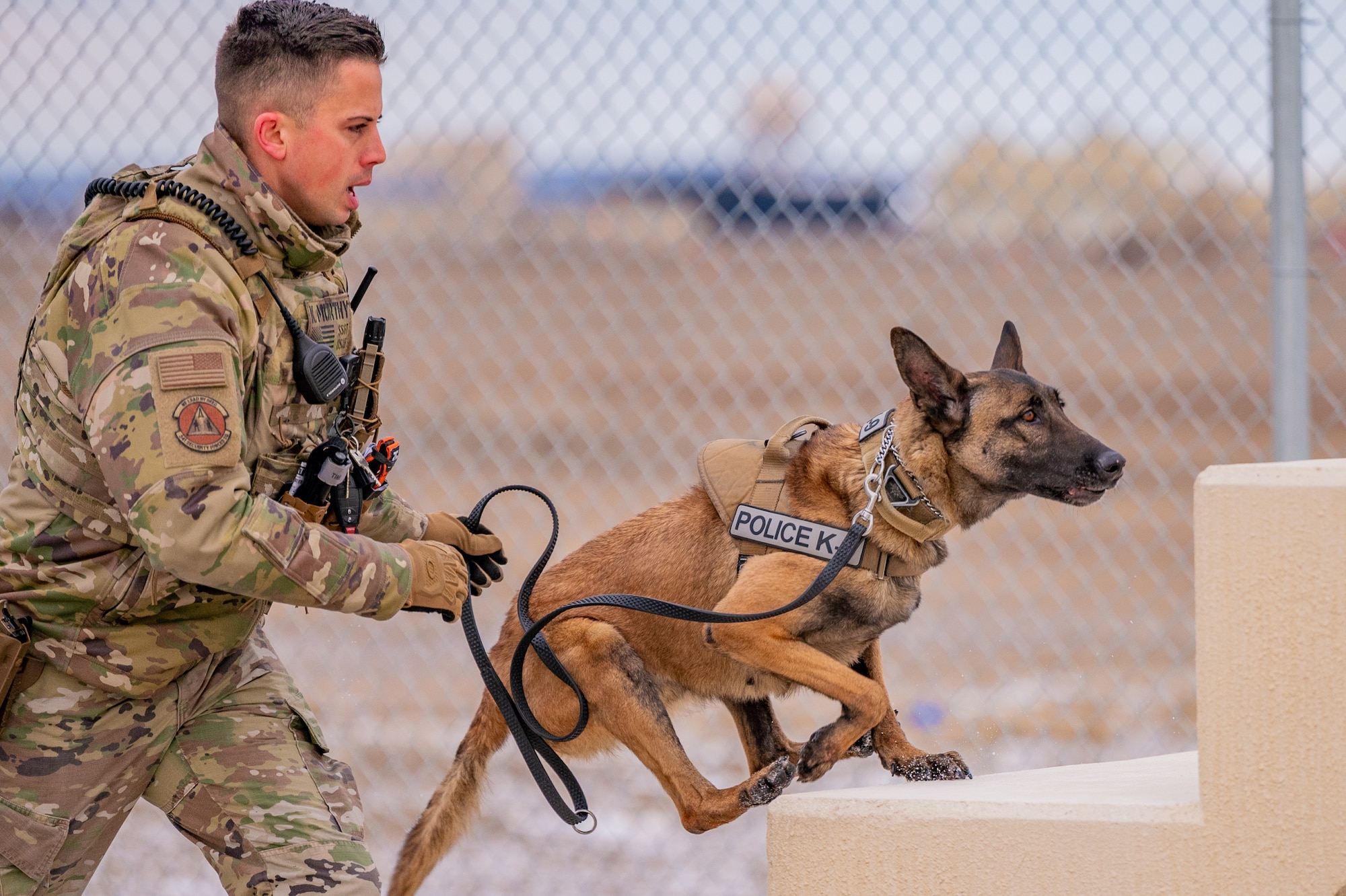 Malmstrom K-9's perform training despite cold weather